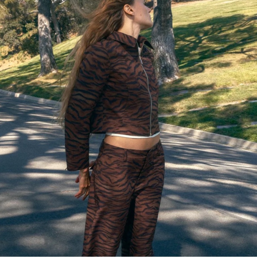 Zara Brown Animal Print Track Pants & Jacket